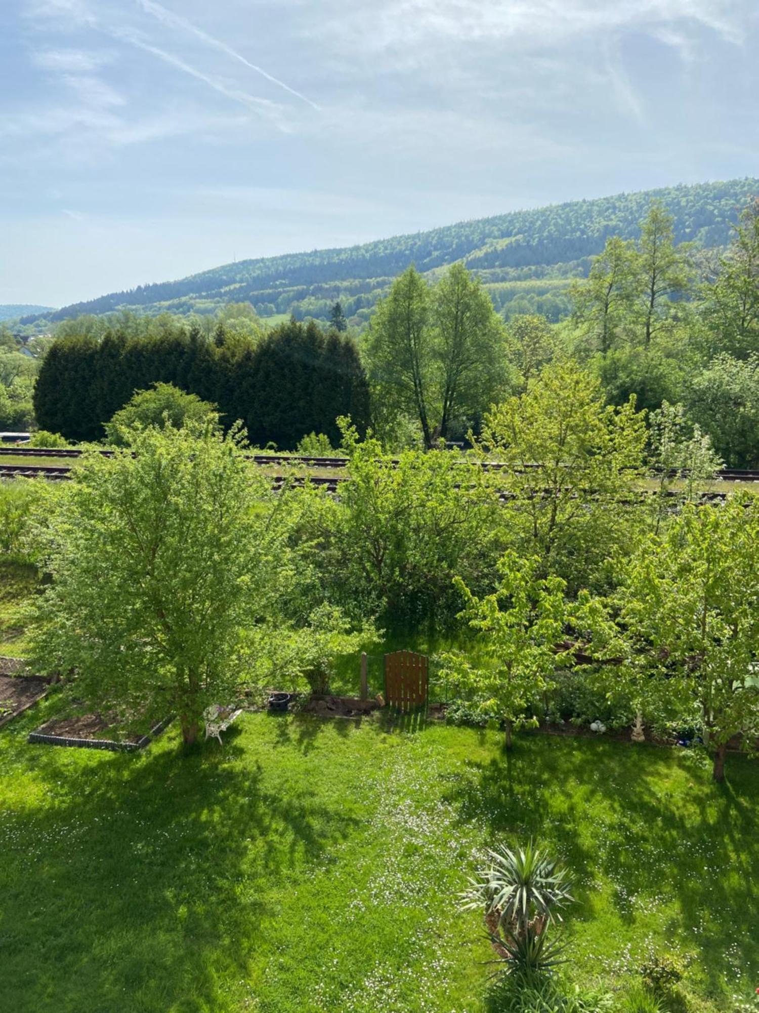 2Z-Ferienwohnung, Umgeben Vom Spessart & Main Stadtprozelten Exterior foto