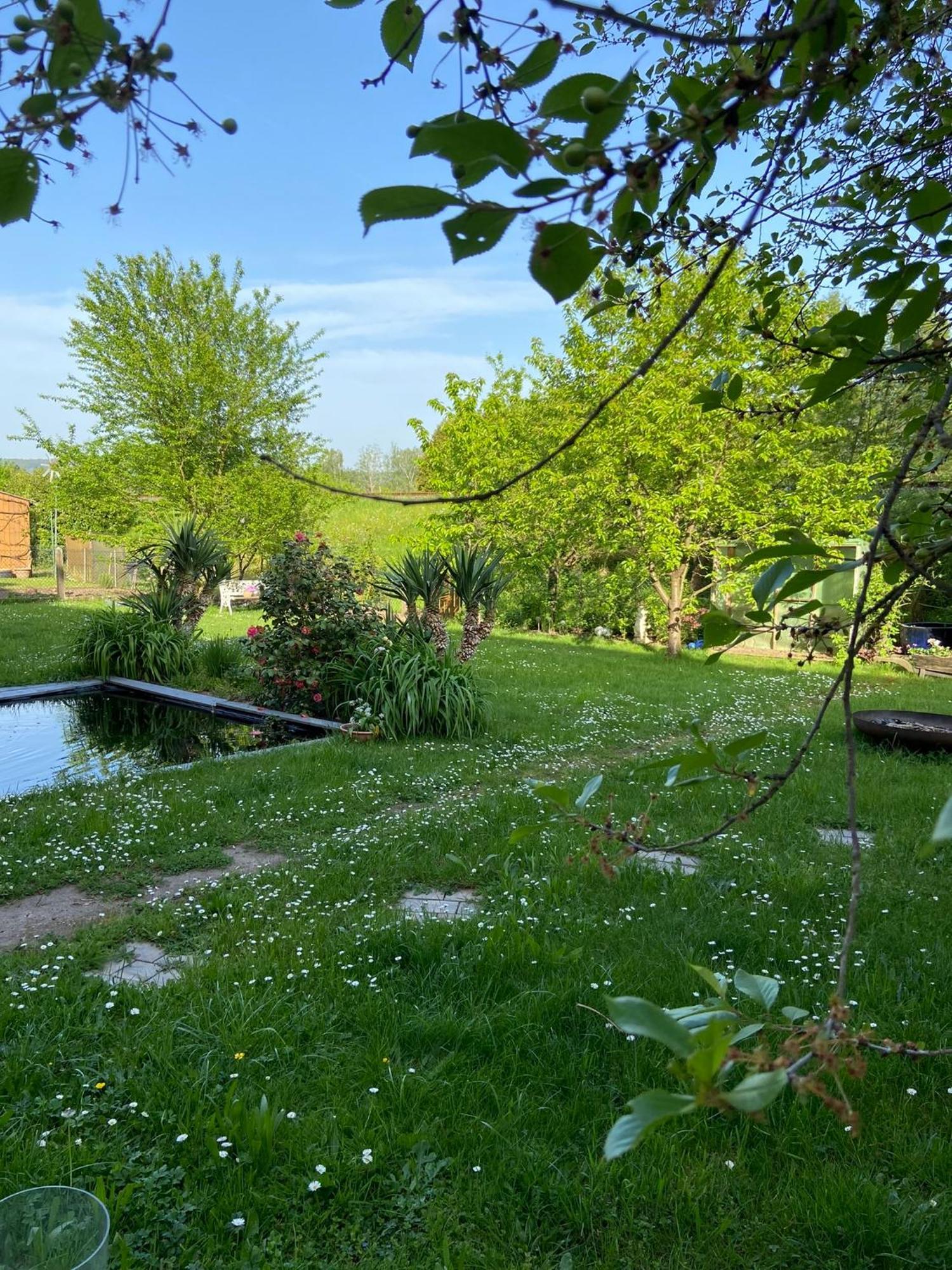2Z-Ferienwohnung, Umgeben Vom Spessart & Main Stadtprozelten Exterior foto